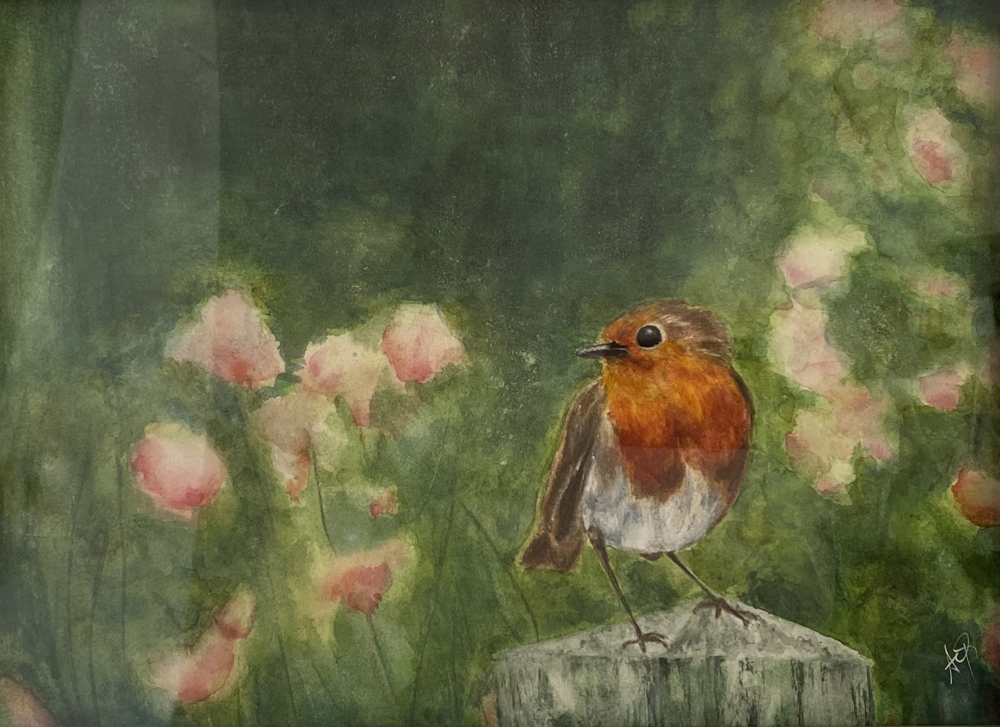 Le Jardin Du Rouge Gorge 4
